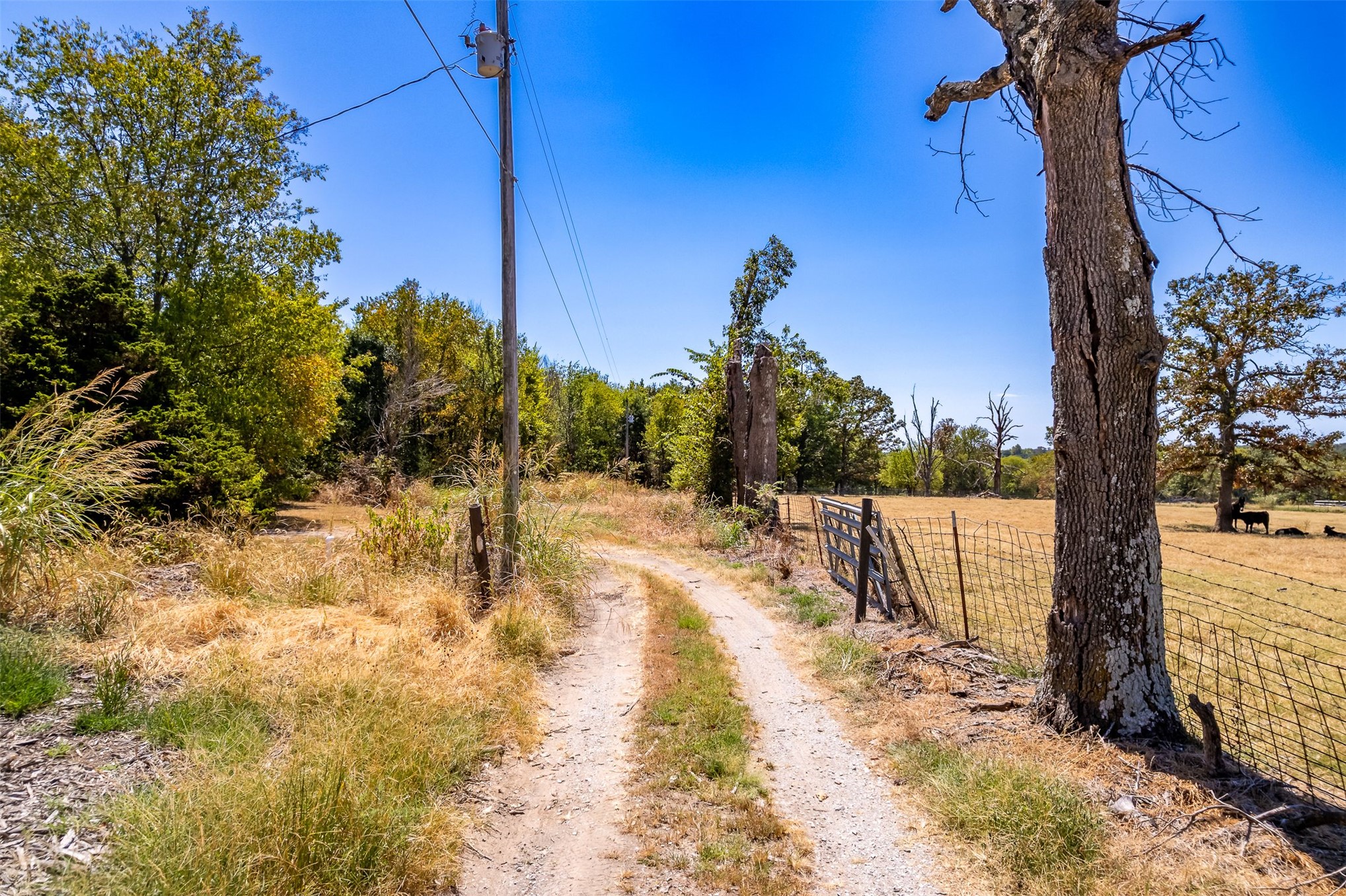12201 S 4237 Road Property Photo 12