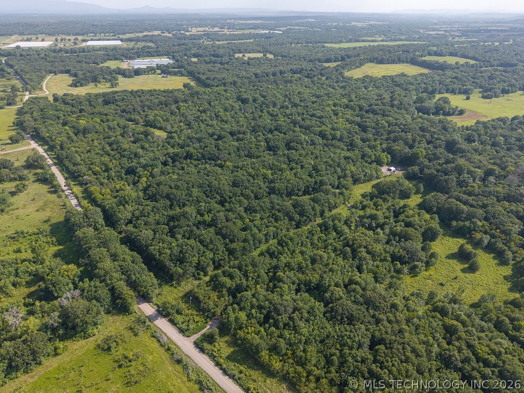 Rhino Road Property Photo 21