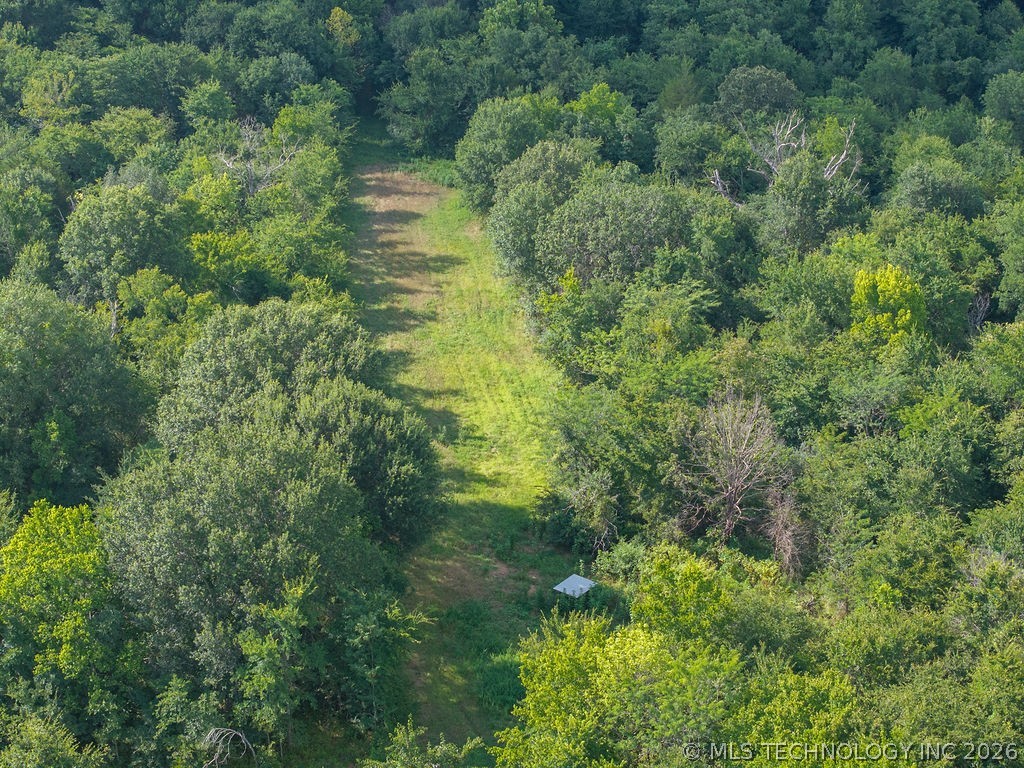 Rhino Road Property Photo 29