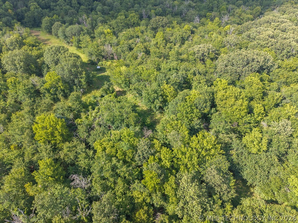 Rhino Road Property Photo 31