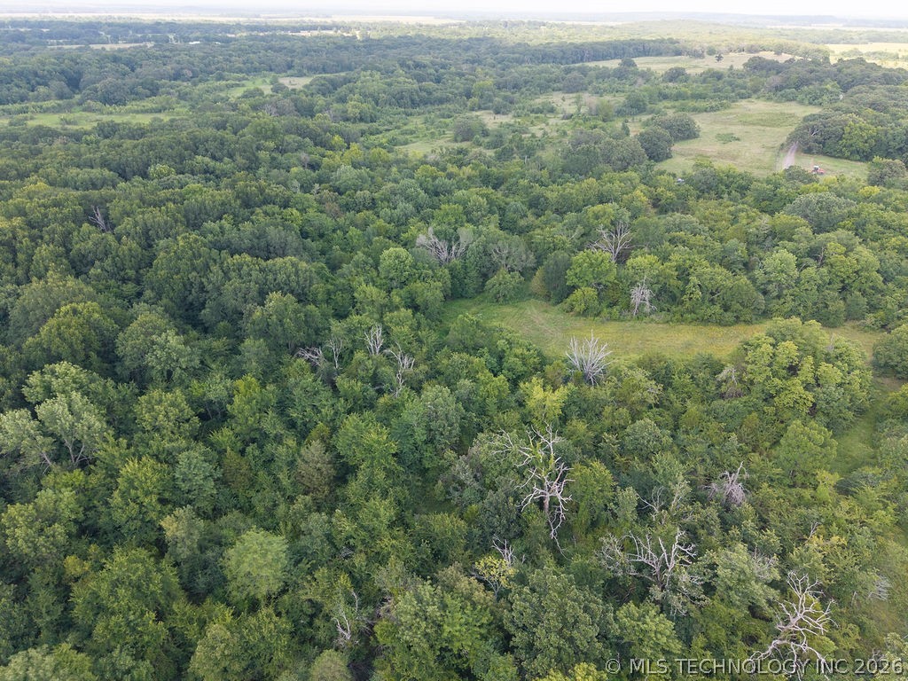 Rhino Road Property Photo 32