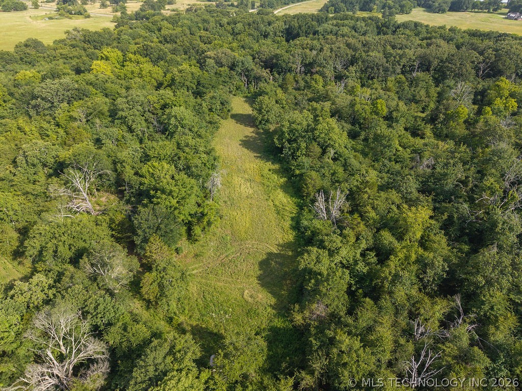 Rhino Road Property Photo 37