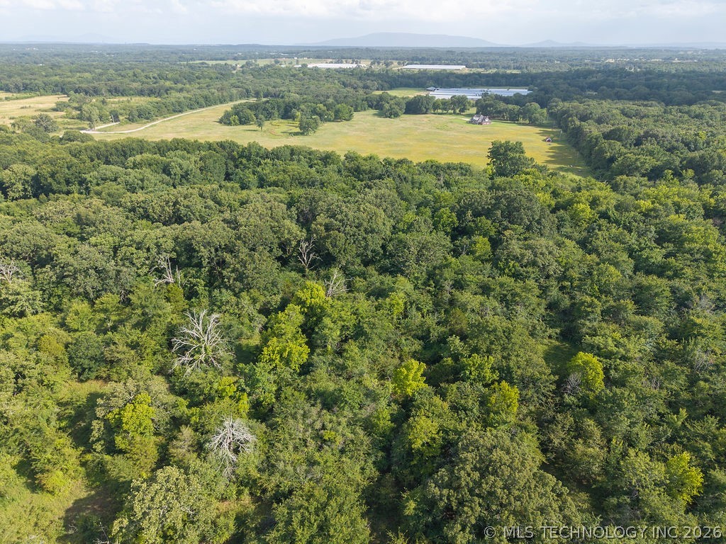 Rhino Road Property Photo 38