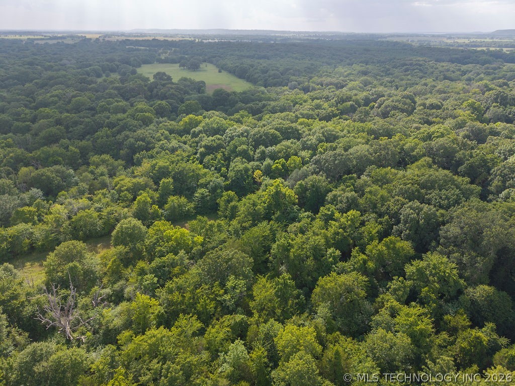 Rhino Road Property Photo 39