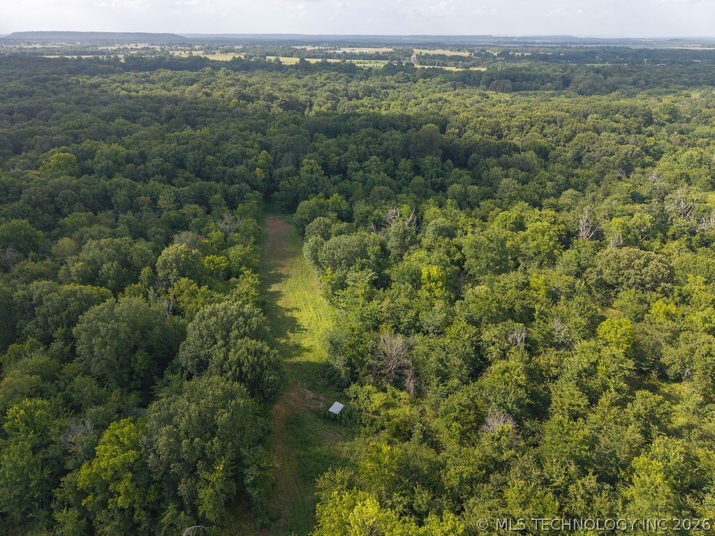Rhino Road Property Photo 40