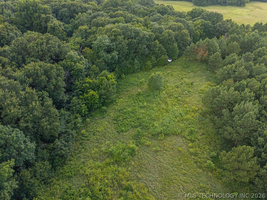 Rhino Road Property Photo 41