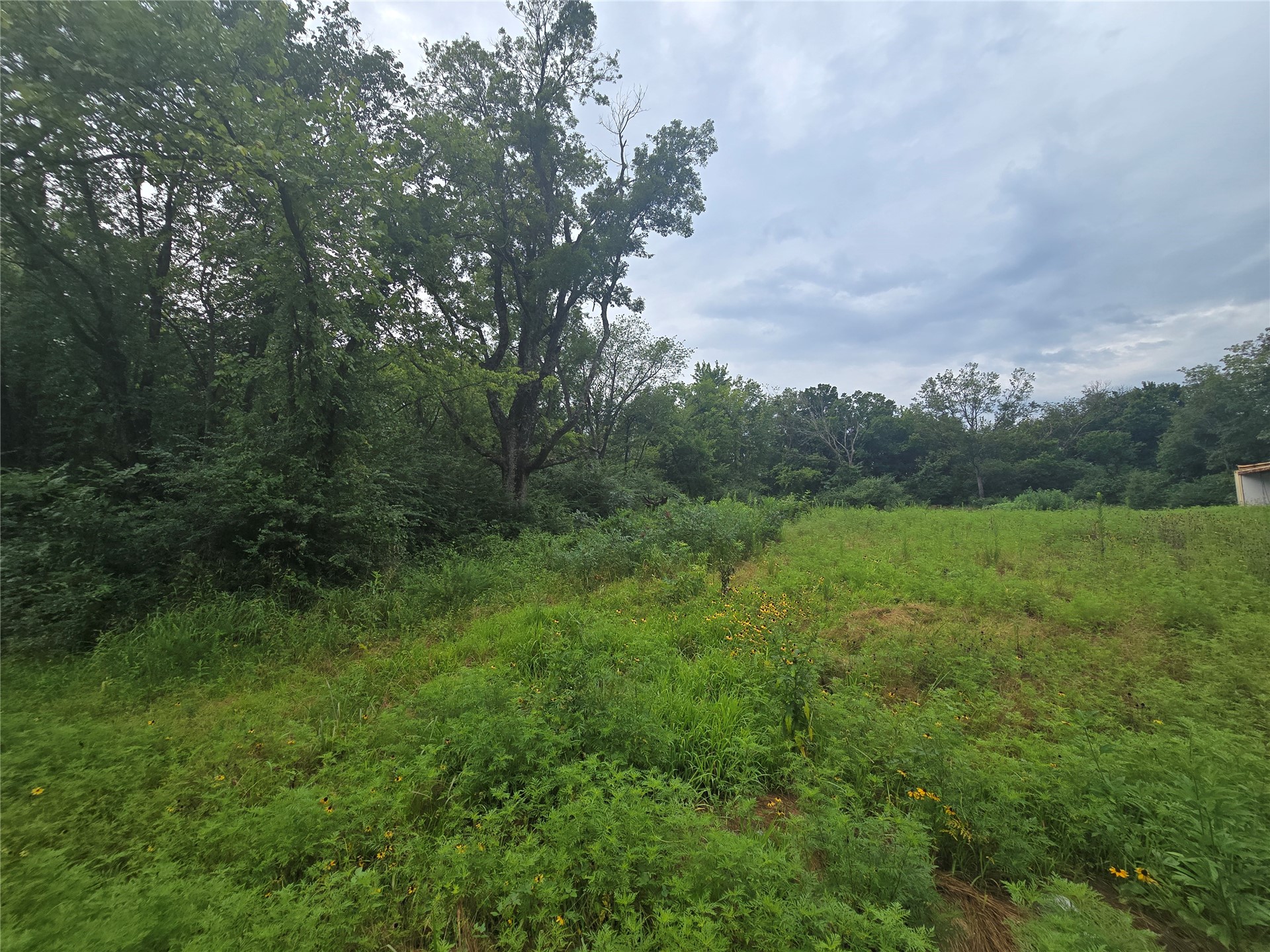 20780 S Bryanwood Drive Property Photo 3
