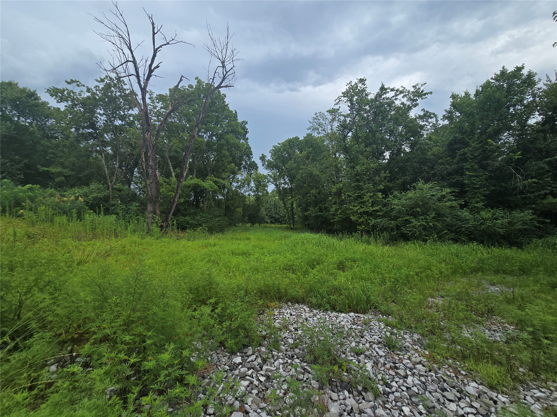 20780 S Bryanwood Drive Property Photo 5