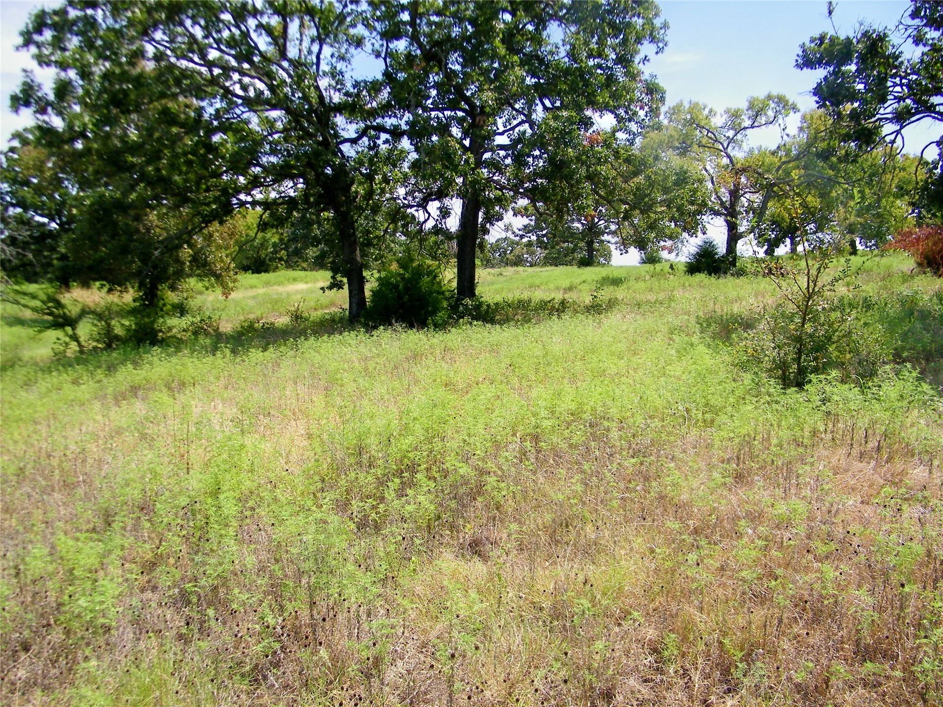 S 230th Road Property Photo 2