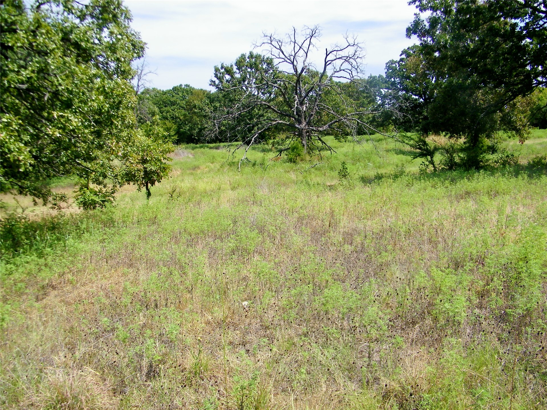 S 230th Road Property Photo 3