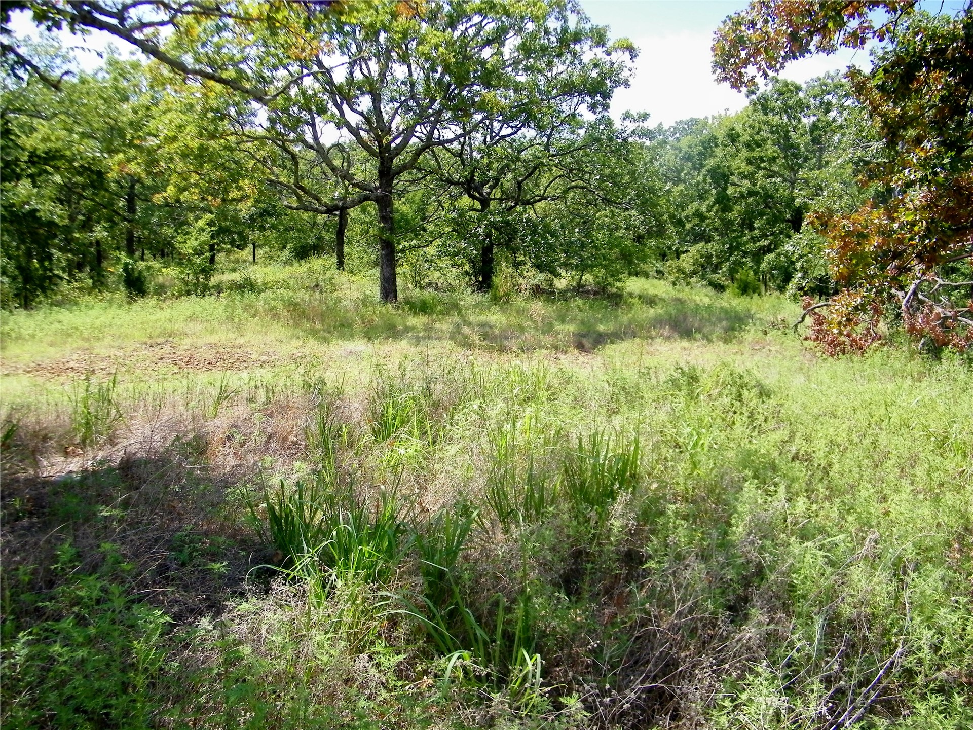 S 230th Road Property Photo 15