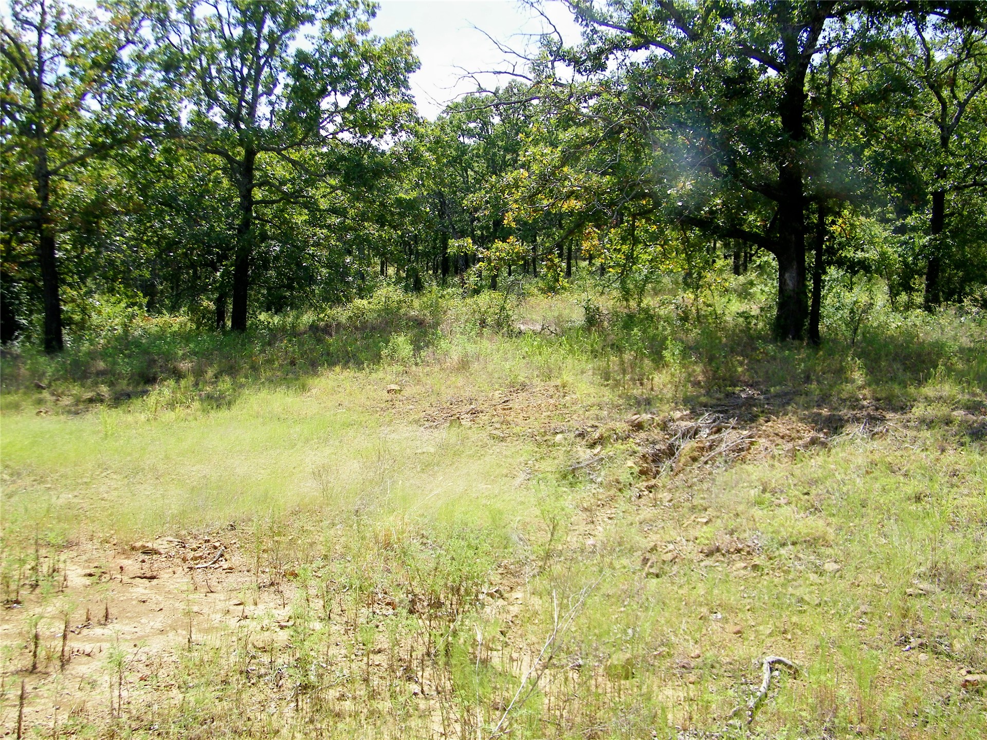 S 230th Road Property Photo 17
