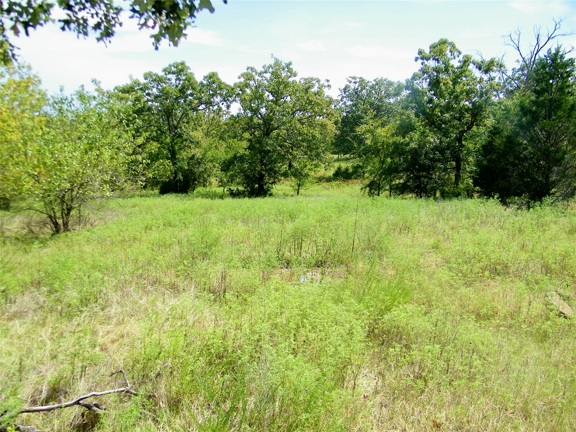 S 230th Road Property Photo 19