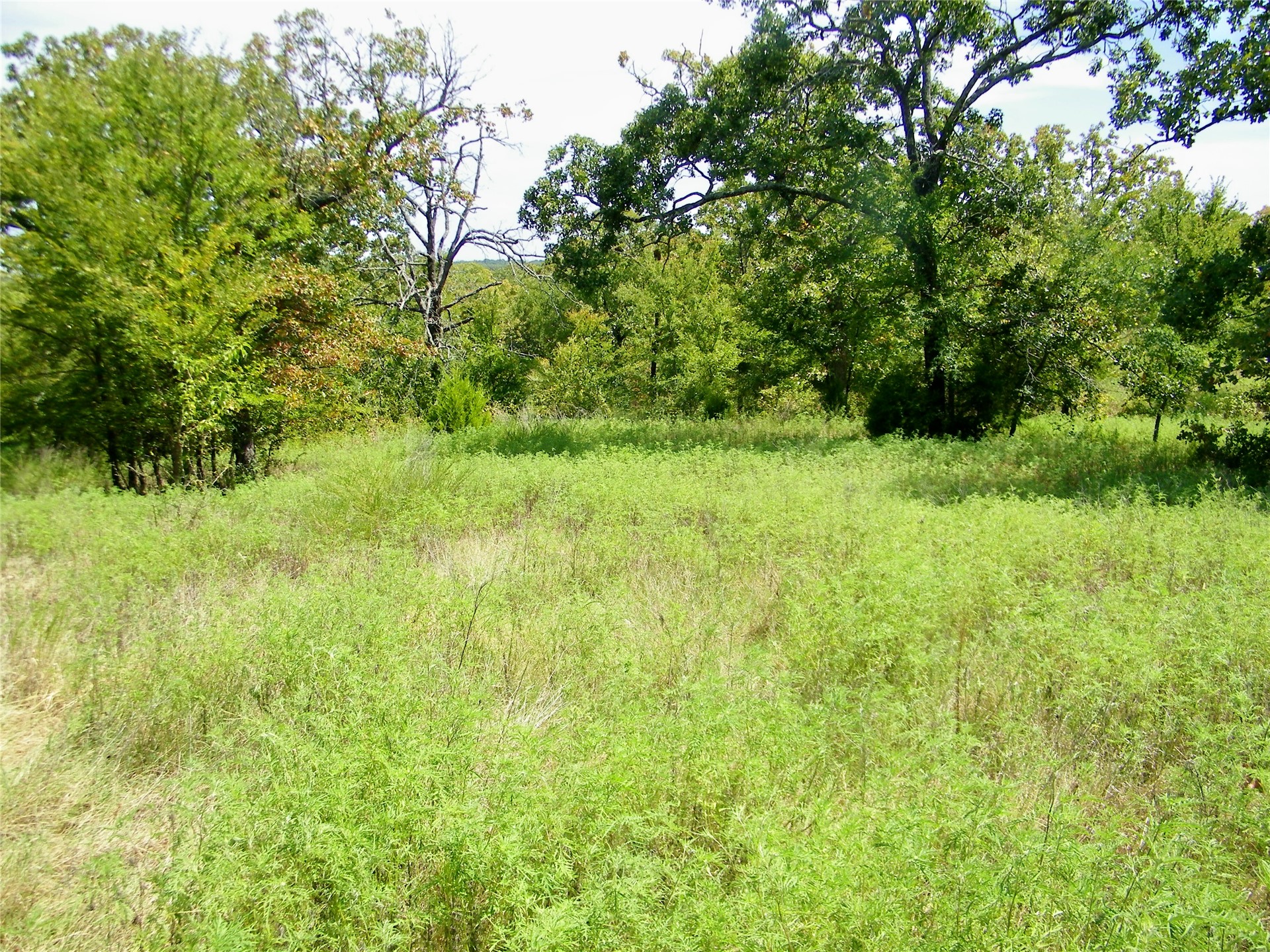 S 230th Road Property Photo 20