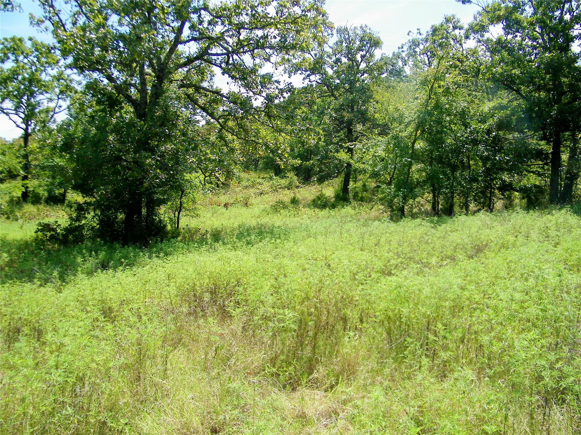 S 230th Road Property Photo 21