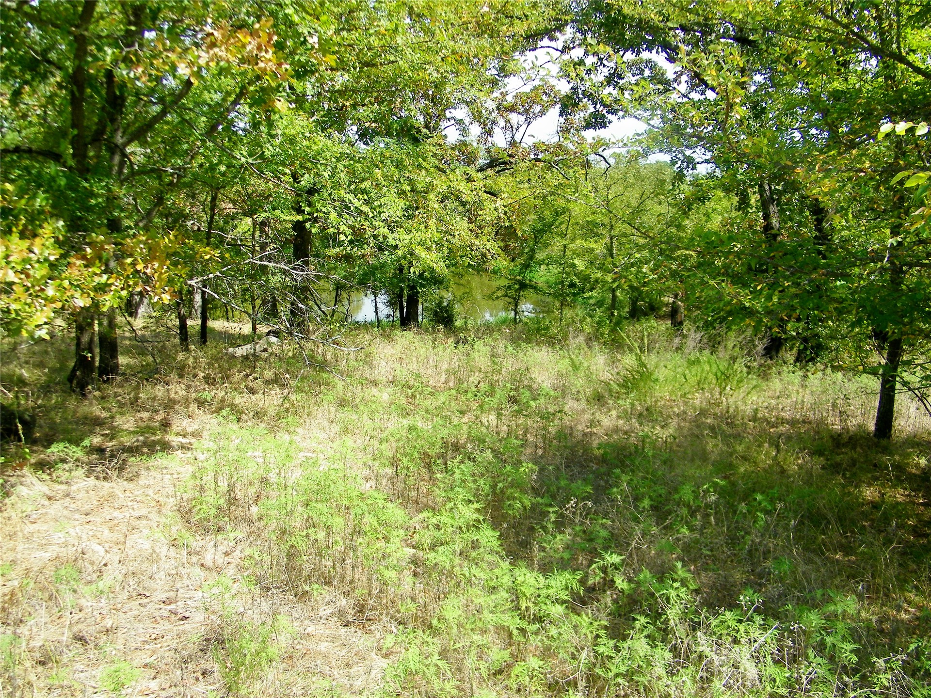 S 230th Road Property Photo 22