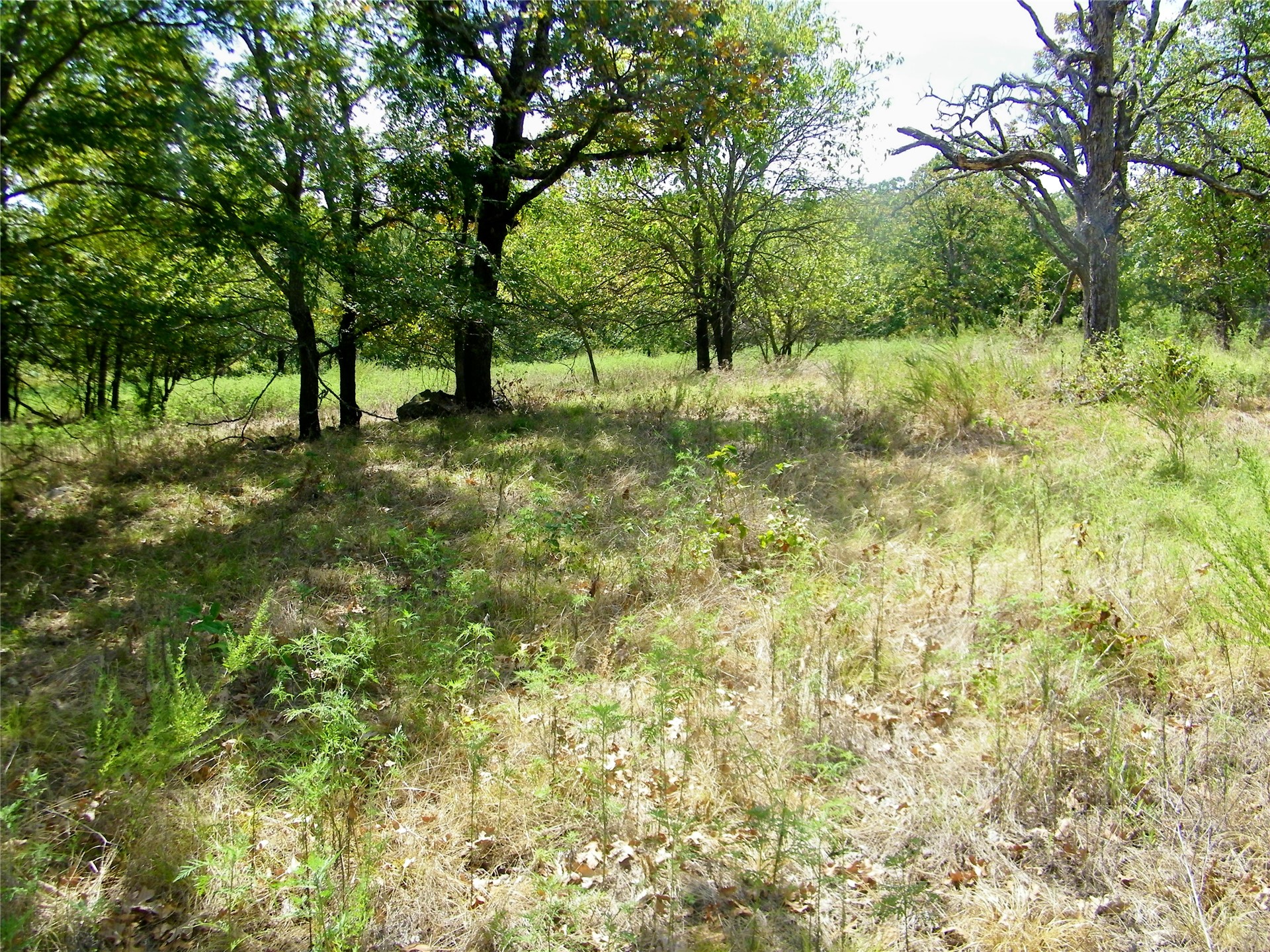 S 230th Road Property Photo 25