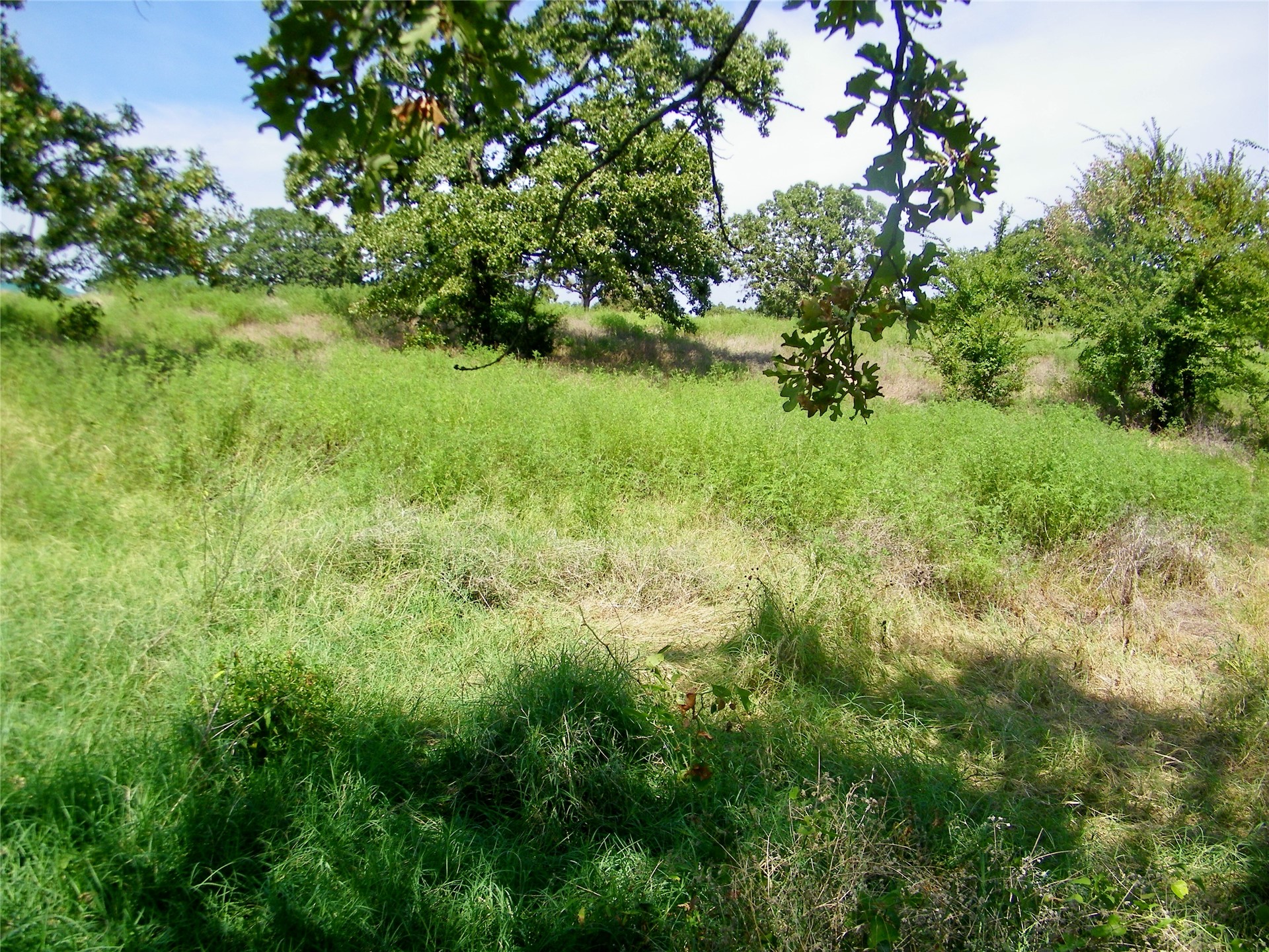 S 230th Road Property Photo 26