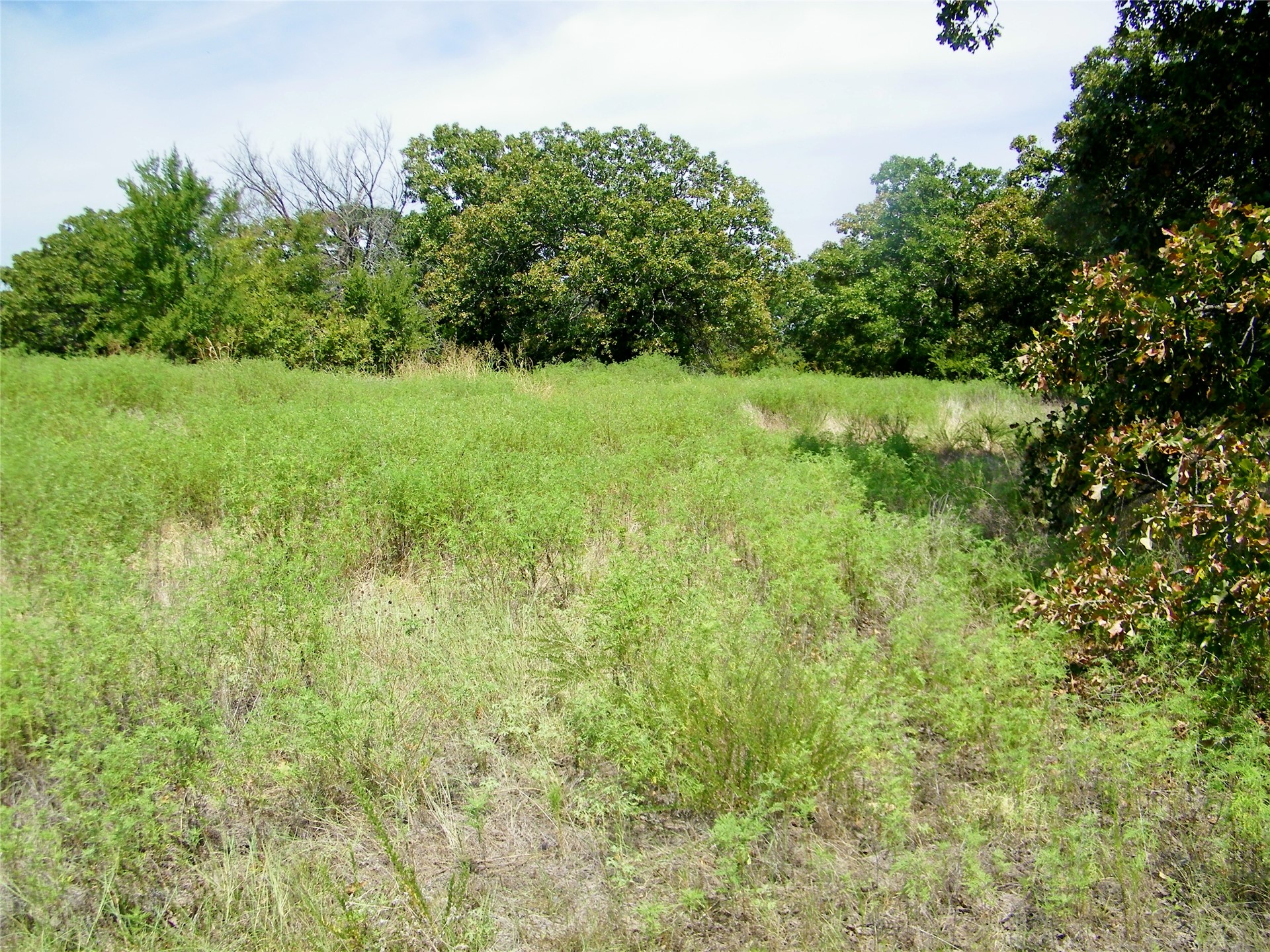 S 230th Road Property Photo 30