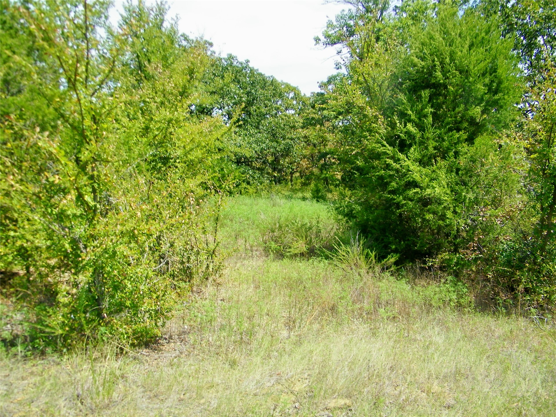 S 230th Road Property Photo 31