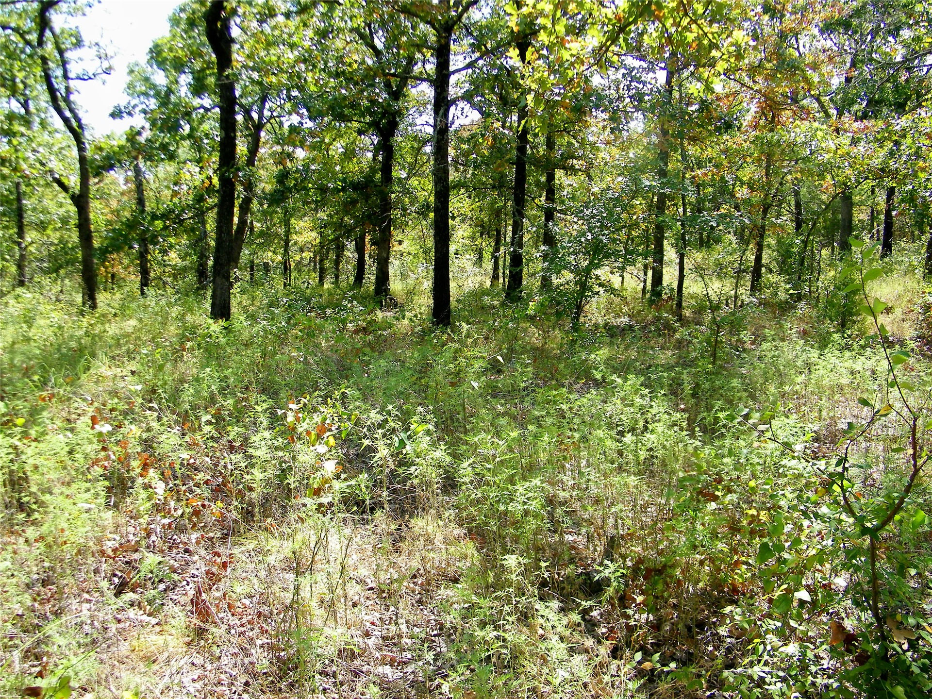 S 230th Road Property Photo 34