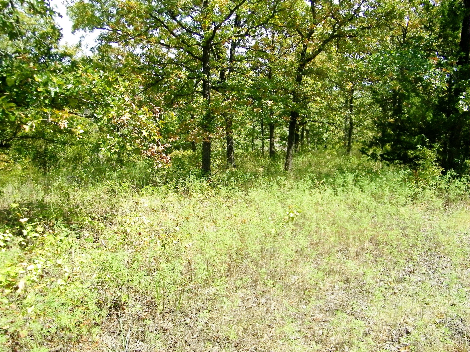 S 230th Road Property Photo 35