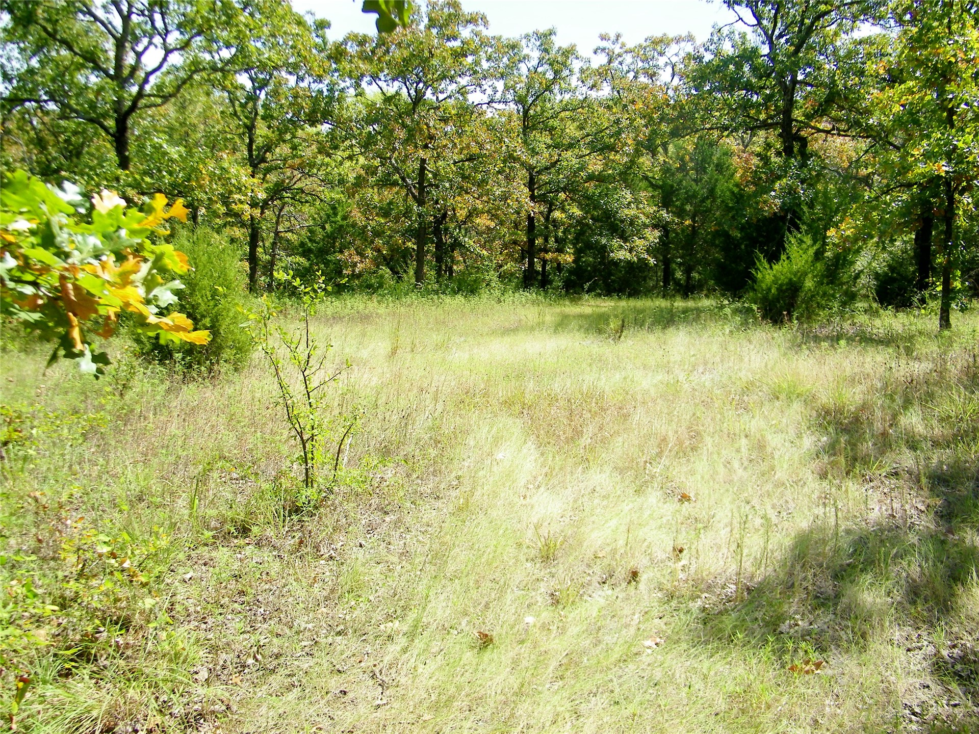 S 230th Road Property Photo 36