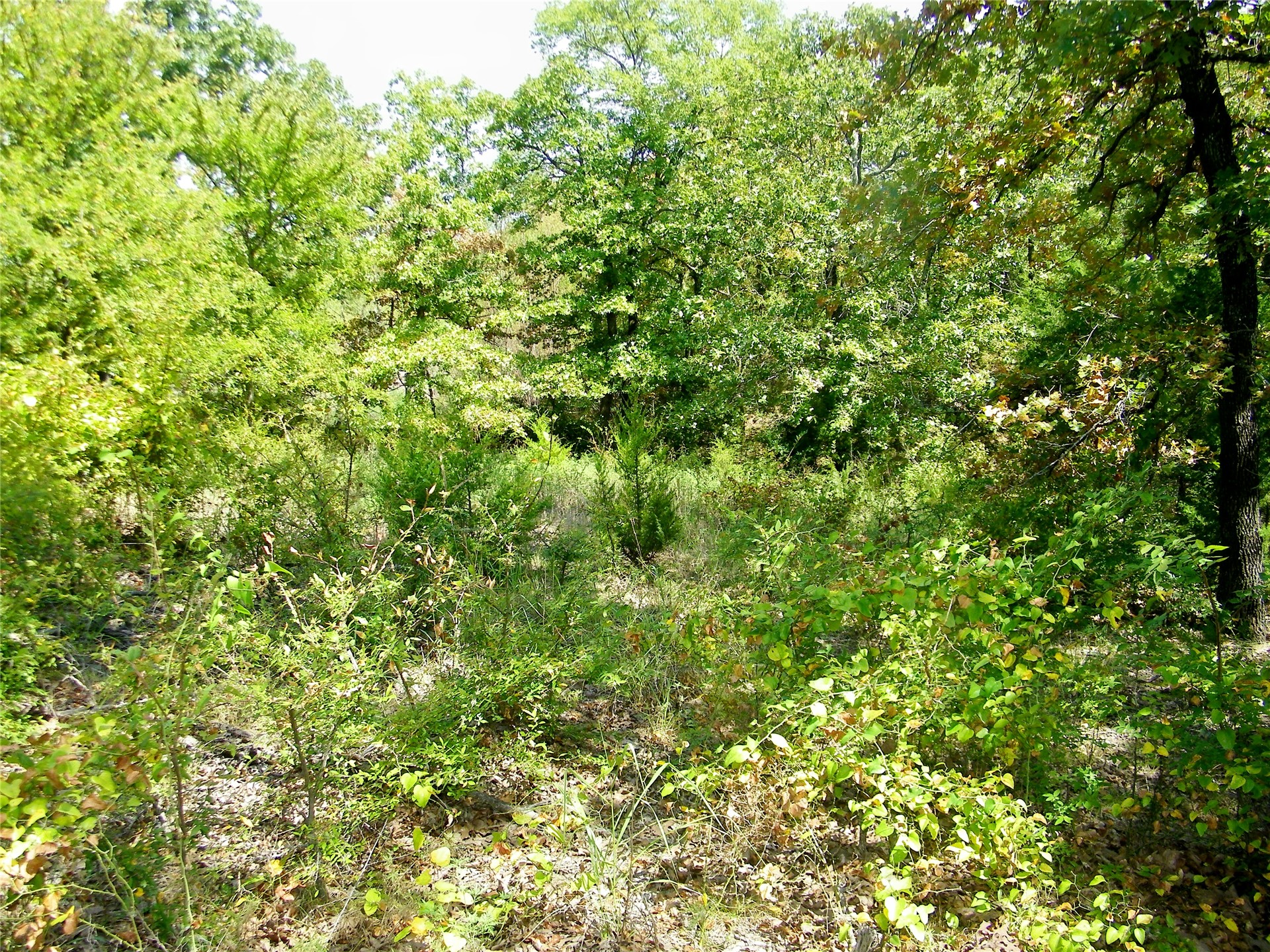 S 230th Road Property Photo 37