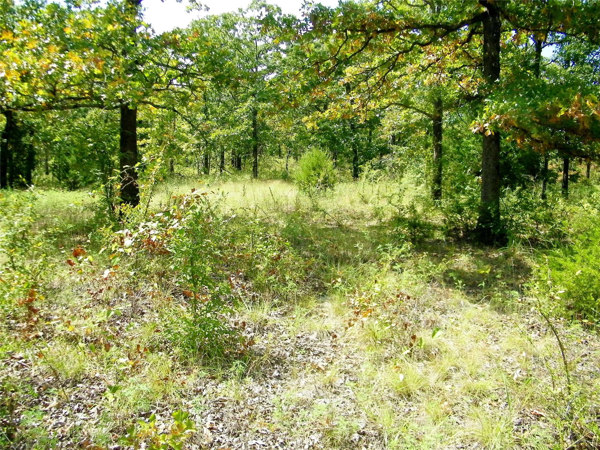 S 230th Road Property Photo 38