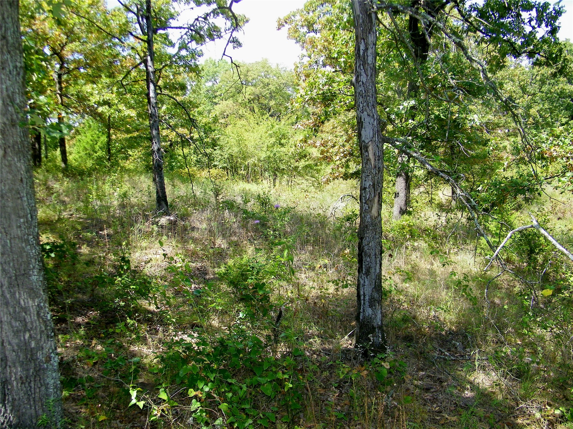 S 230th Road Property Photo 39
