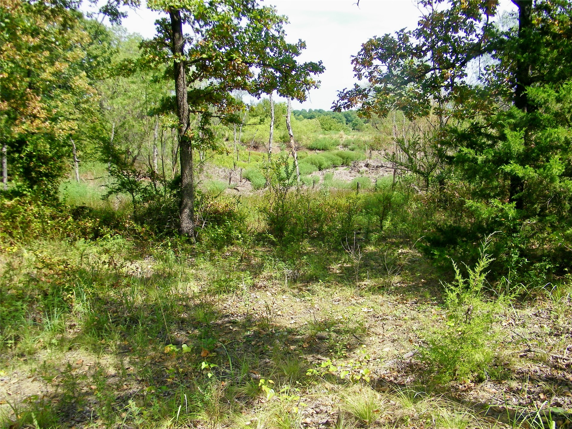 S 230th Road Property Photo 40