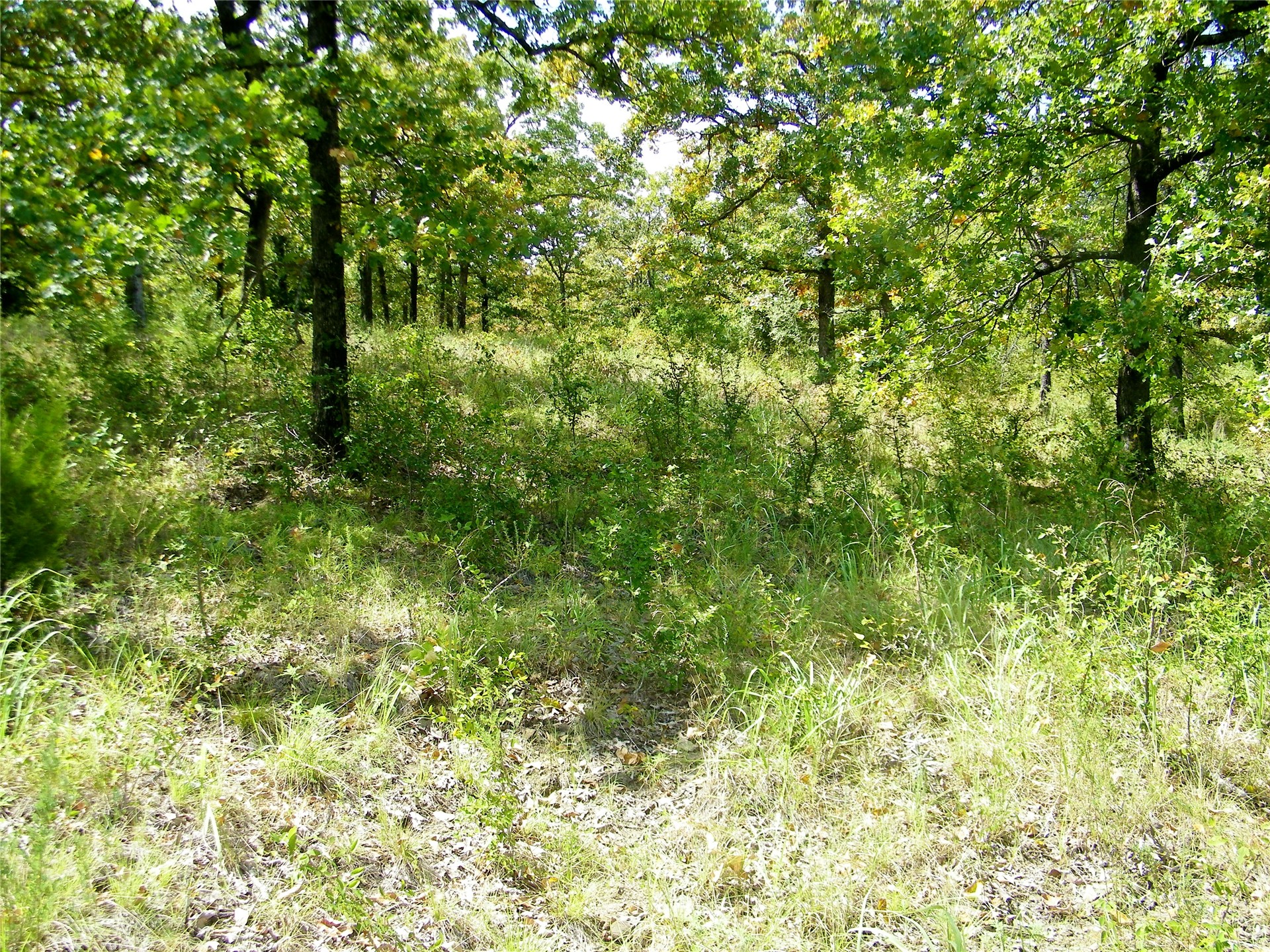 S 230th Road Property Photo 41