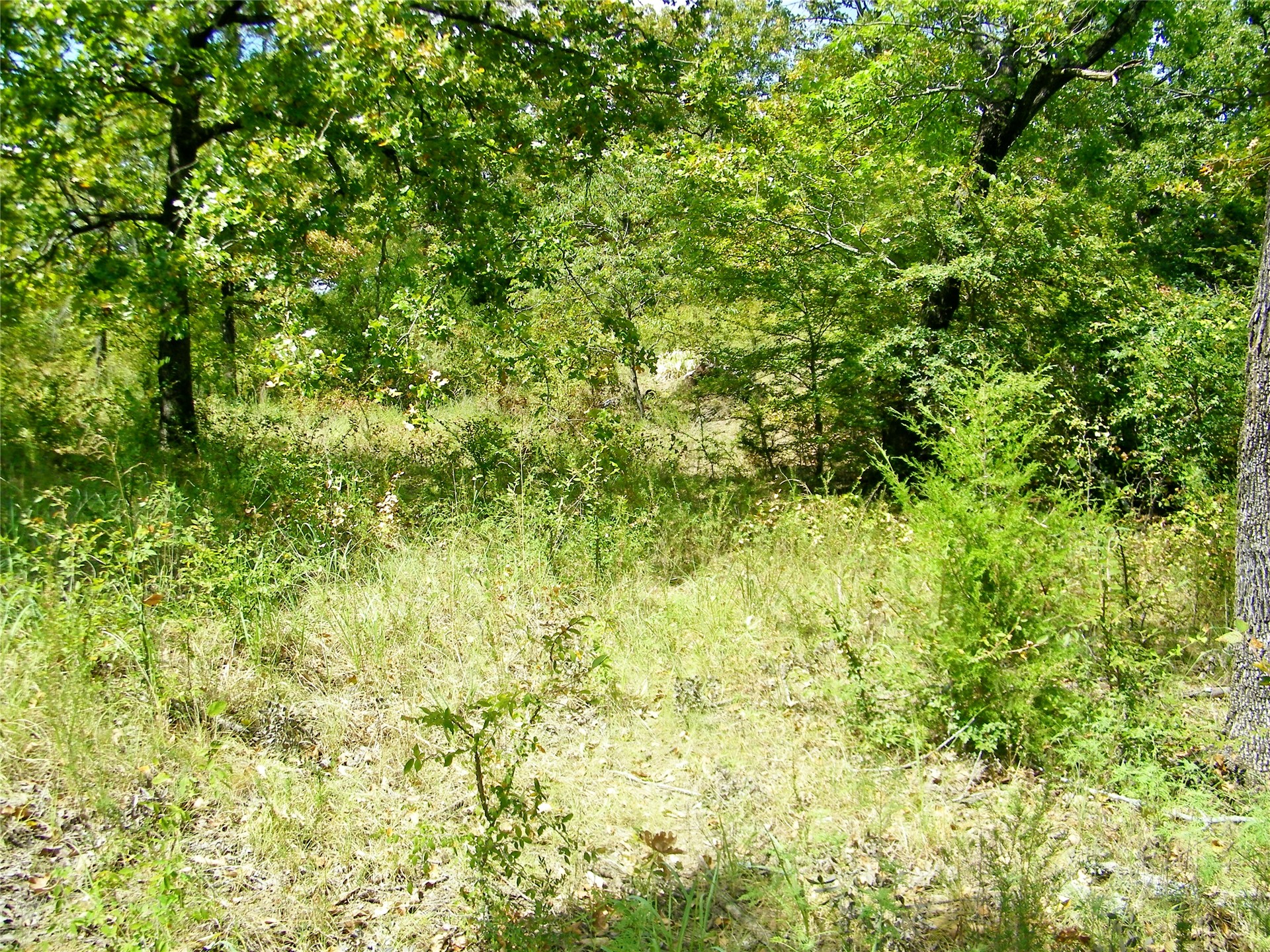 S 230th Road Property Photo 42