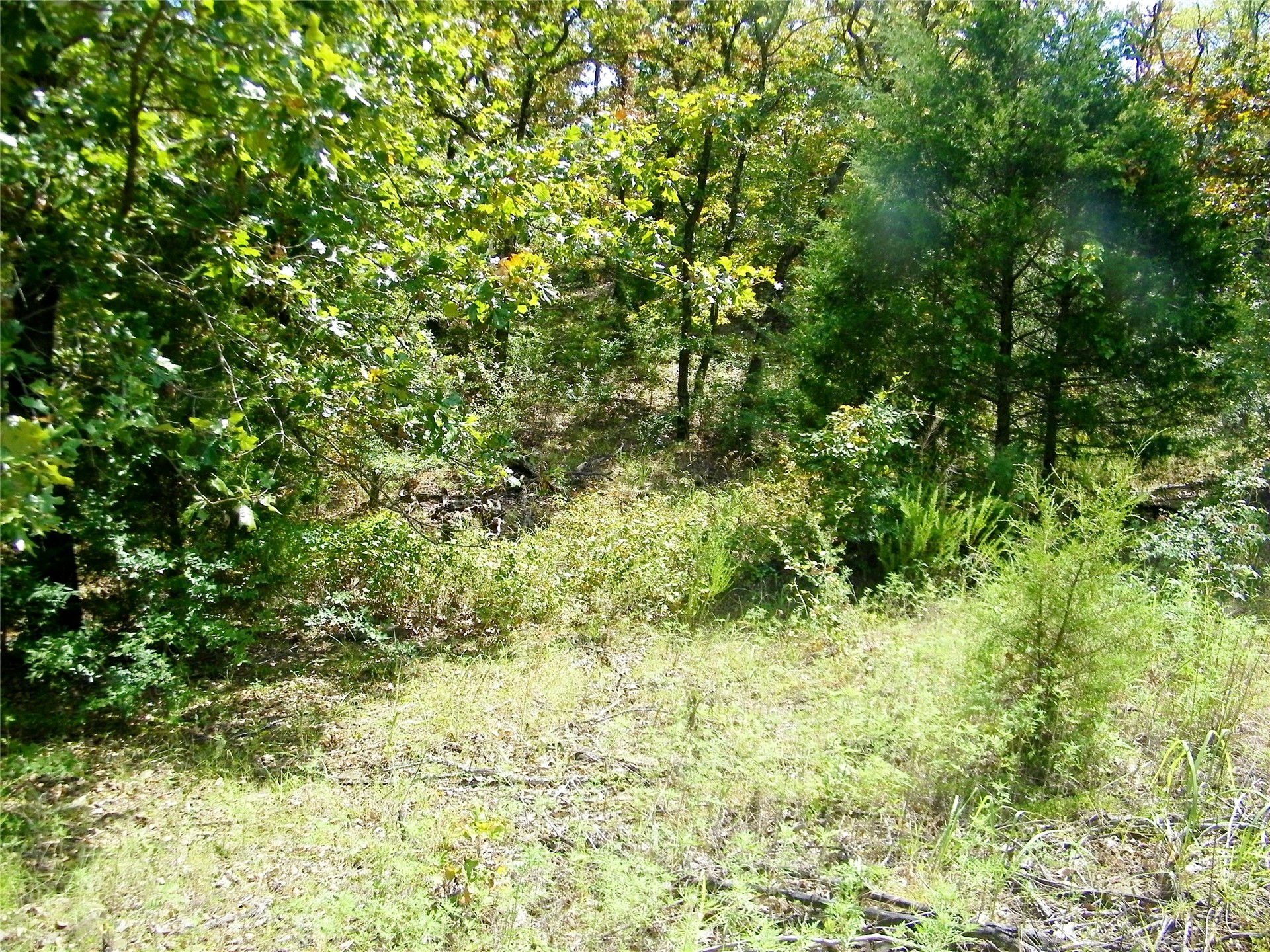 S 230th Road Property Photo 43