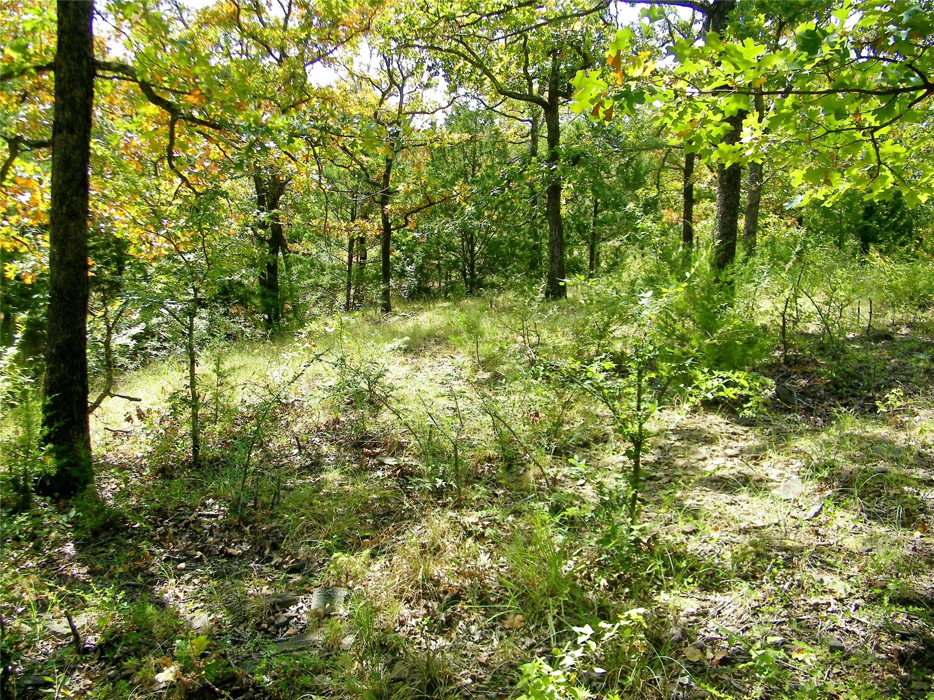 S 230th Road Property Photo 44