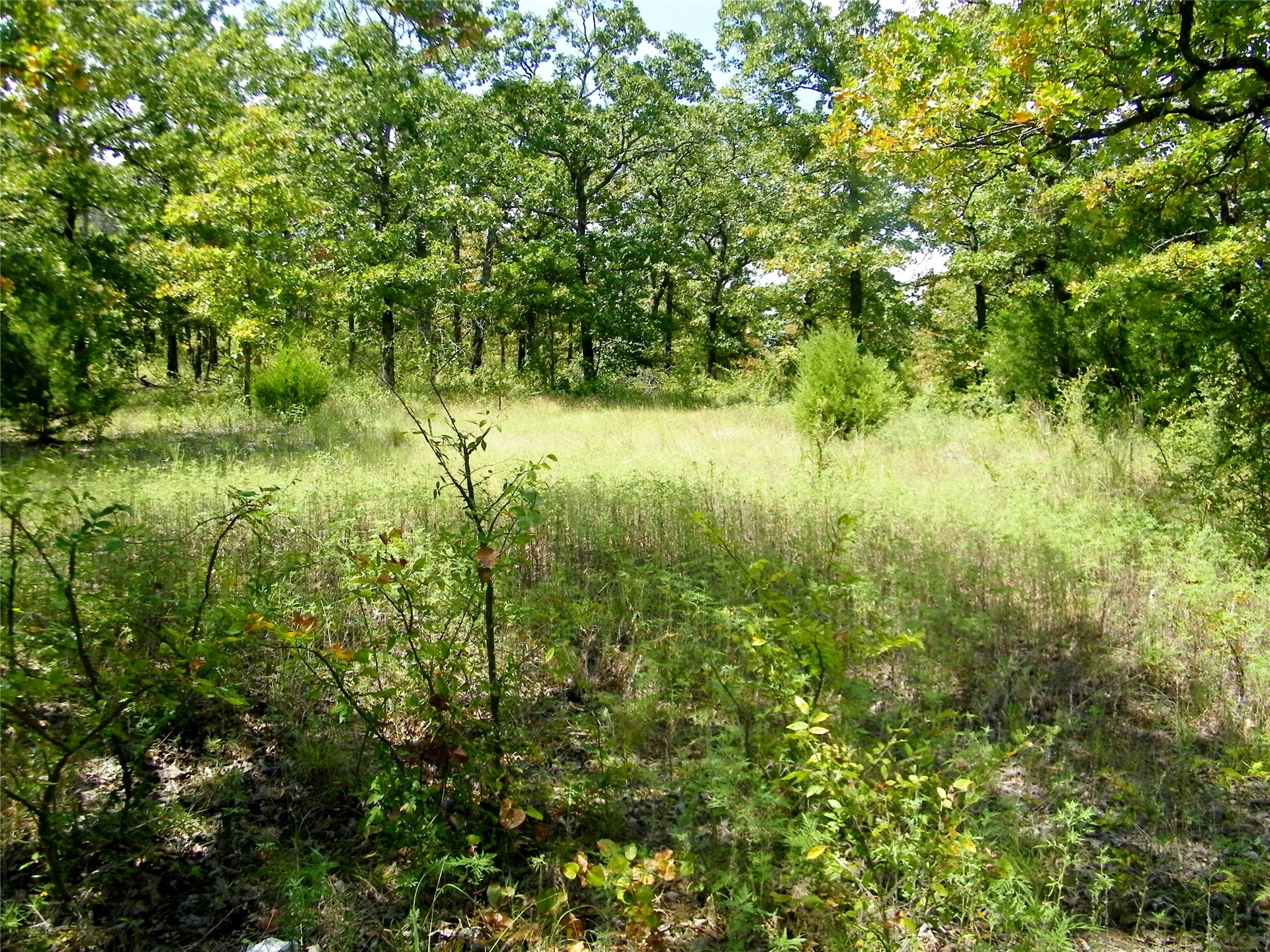 S 230th Road Property Photo 45