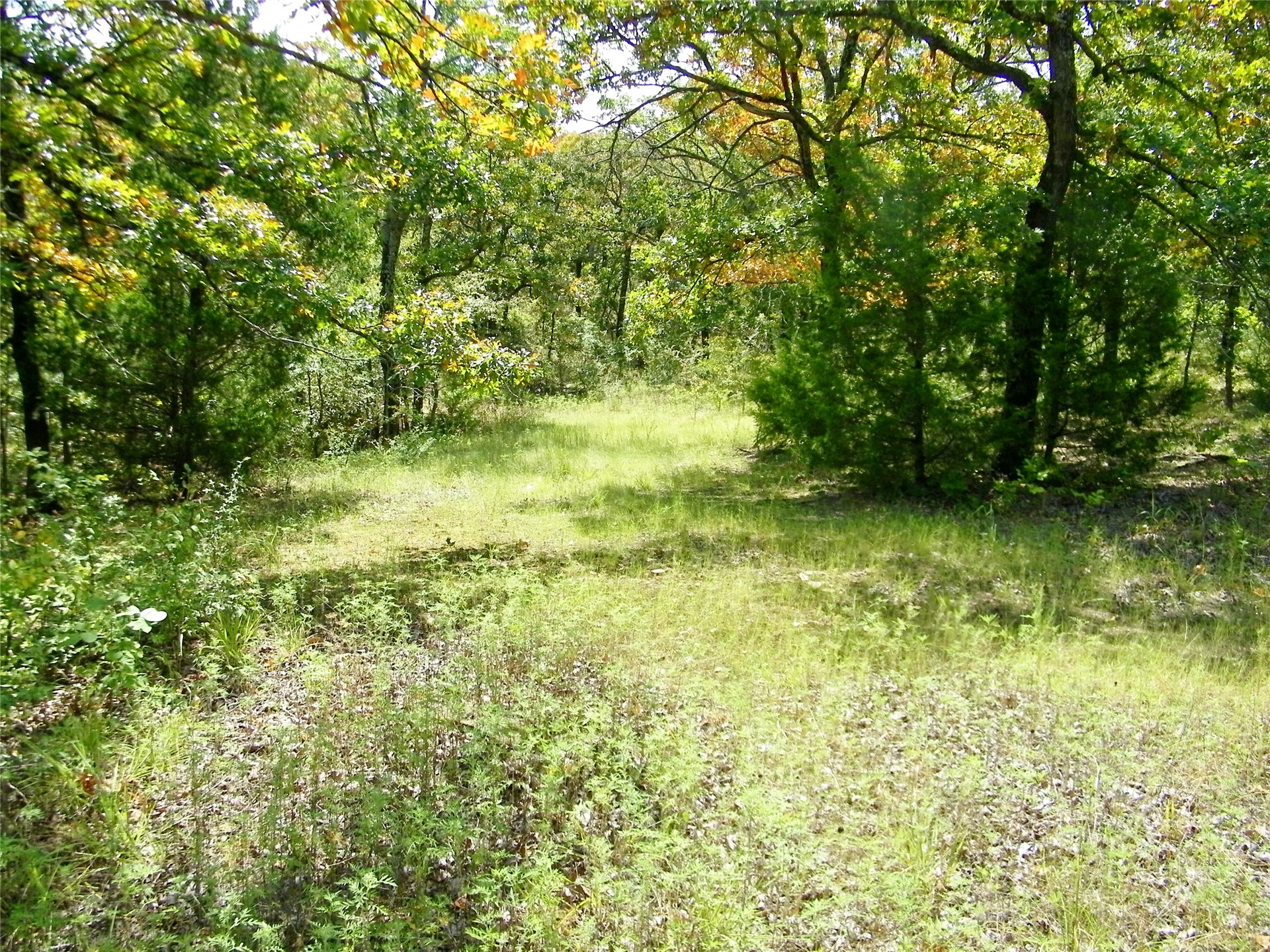 S 230th Road Property Photo 46