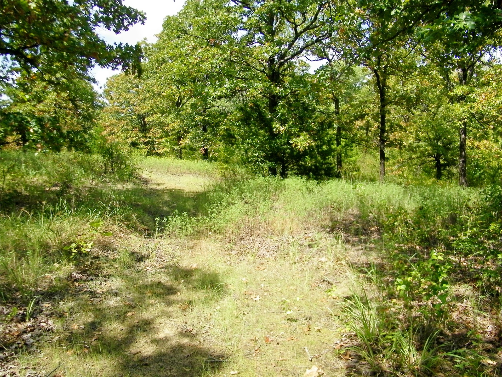 S 230th Road Property Photo 47
