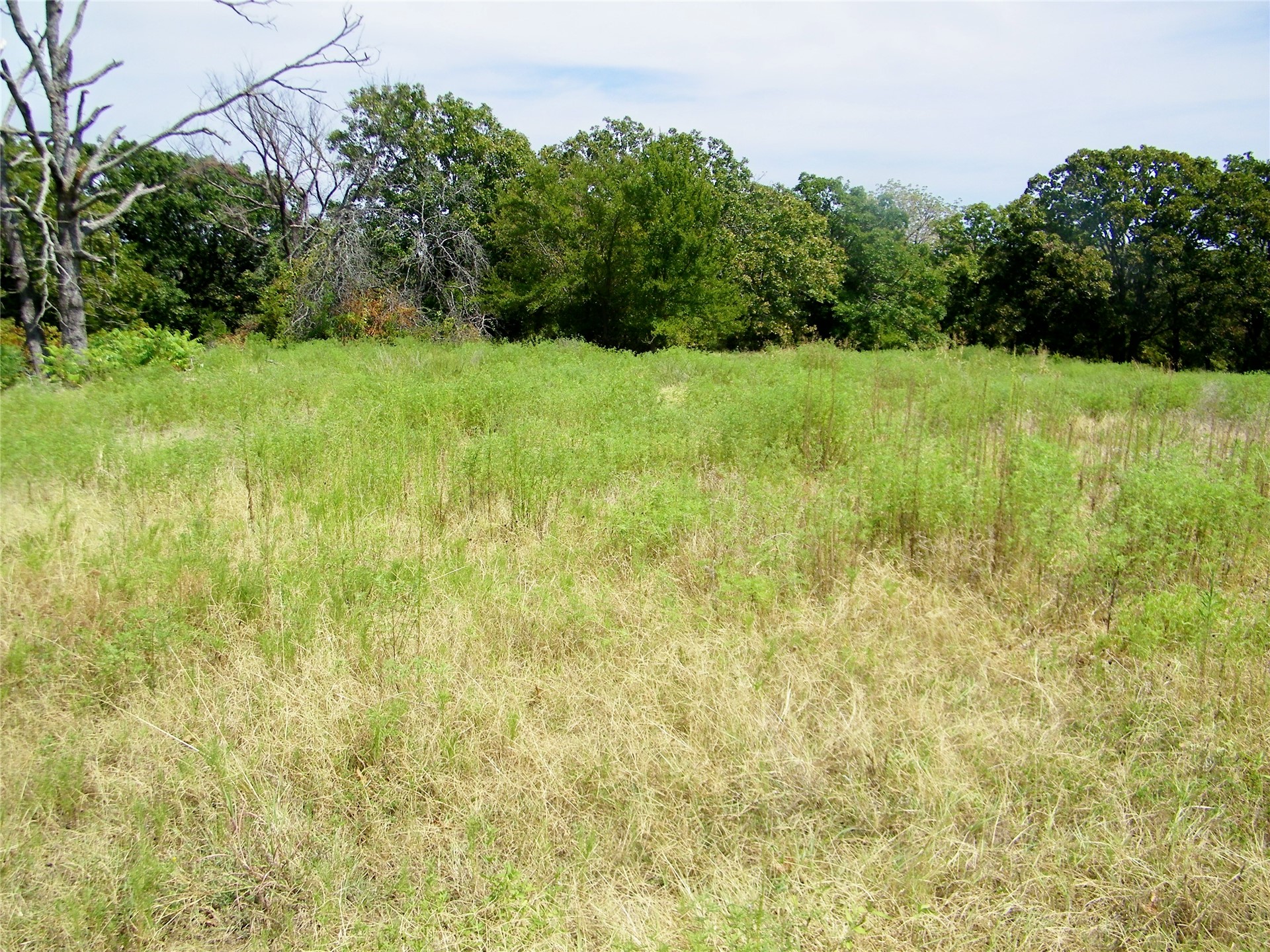 S 230th Road Property Photo 51