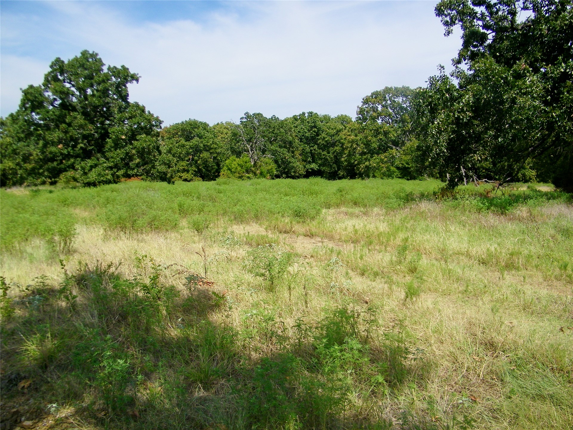 S 230th Road Property Photo 52