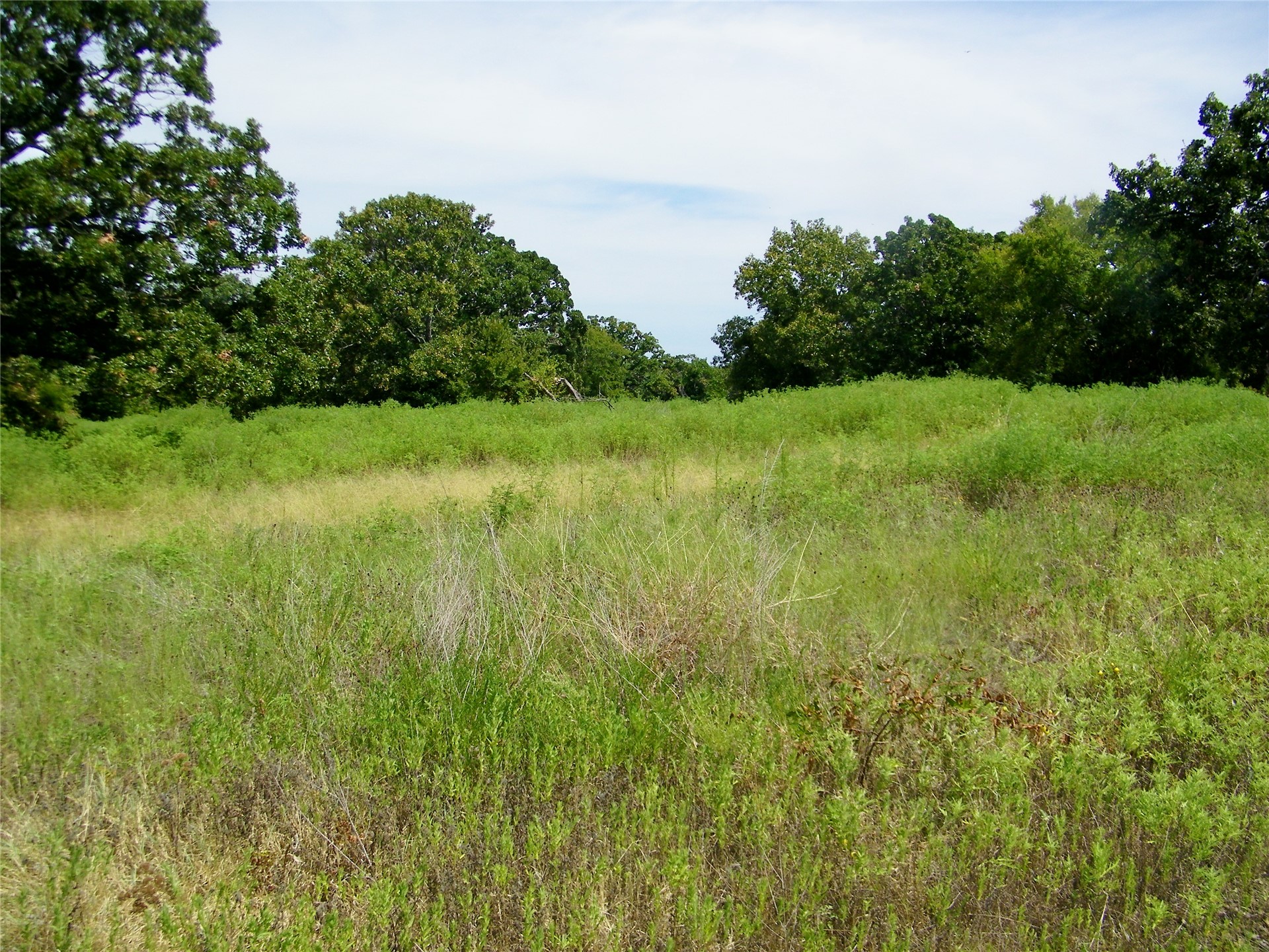 S 230th Road Property Photo 54