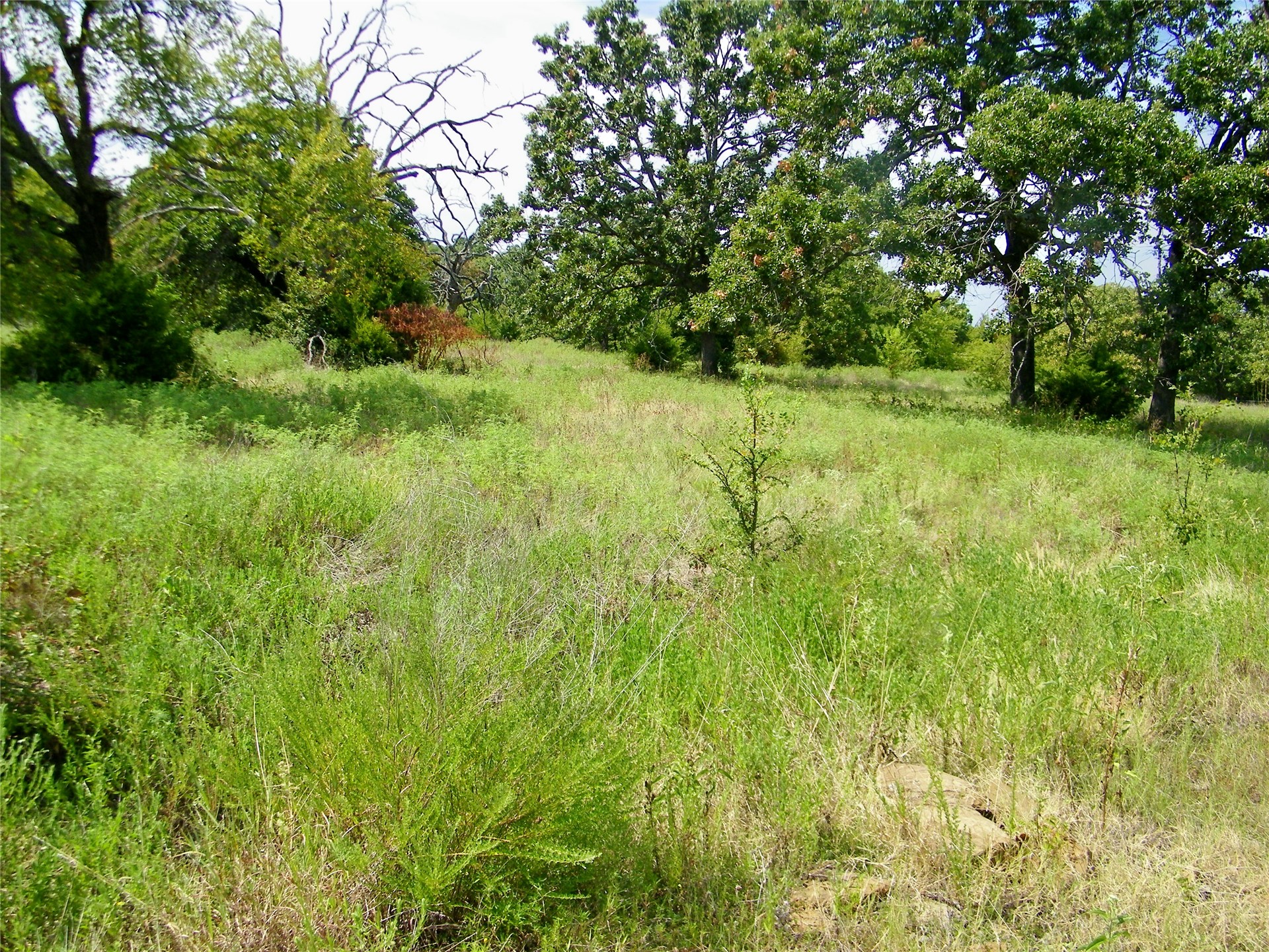 S 230th Road Property Photo 55