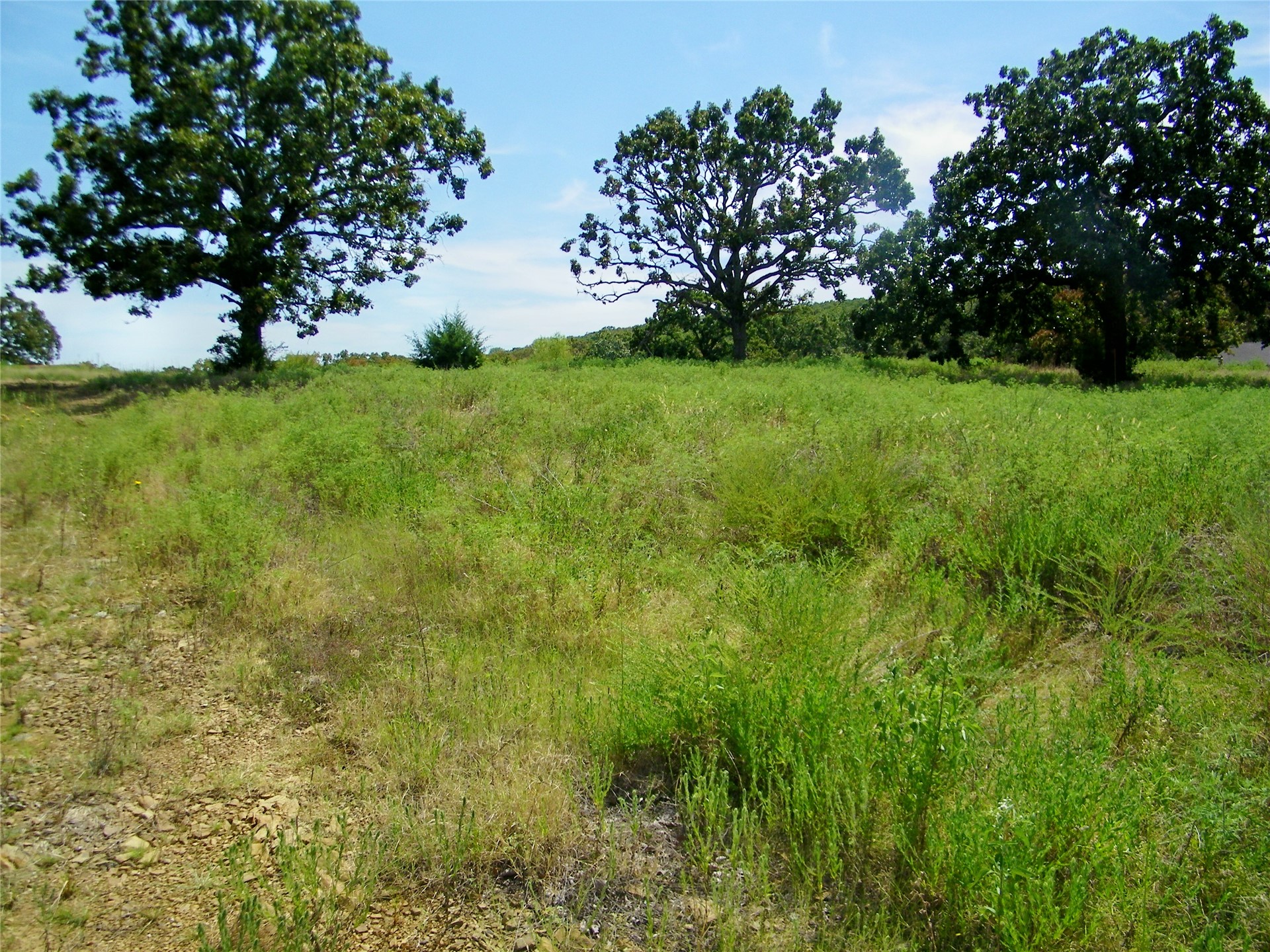 S 230th Road Property Photo 56