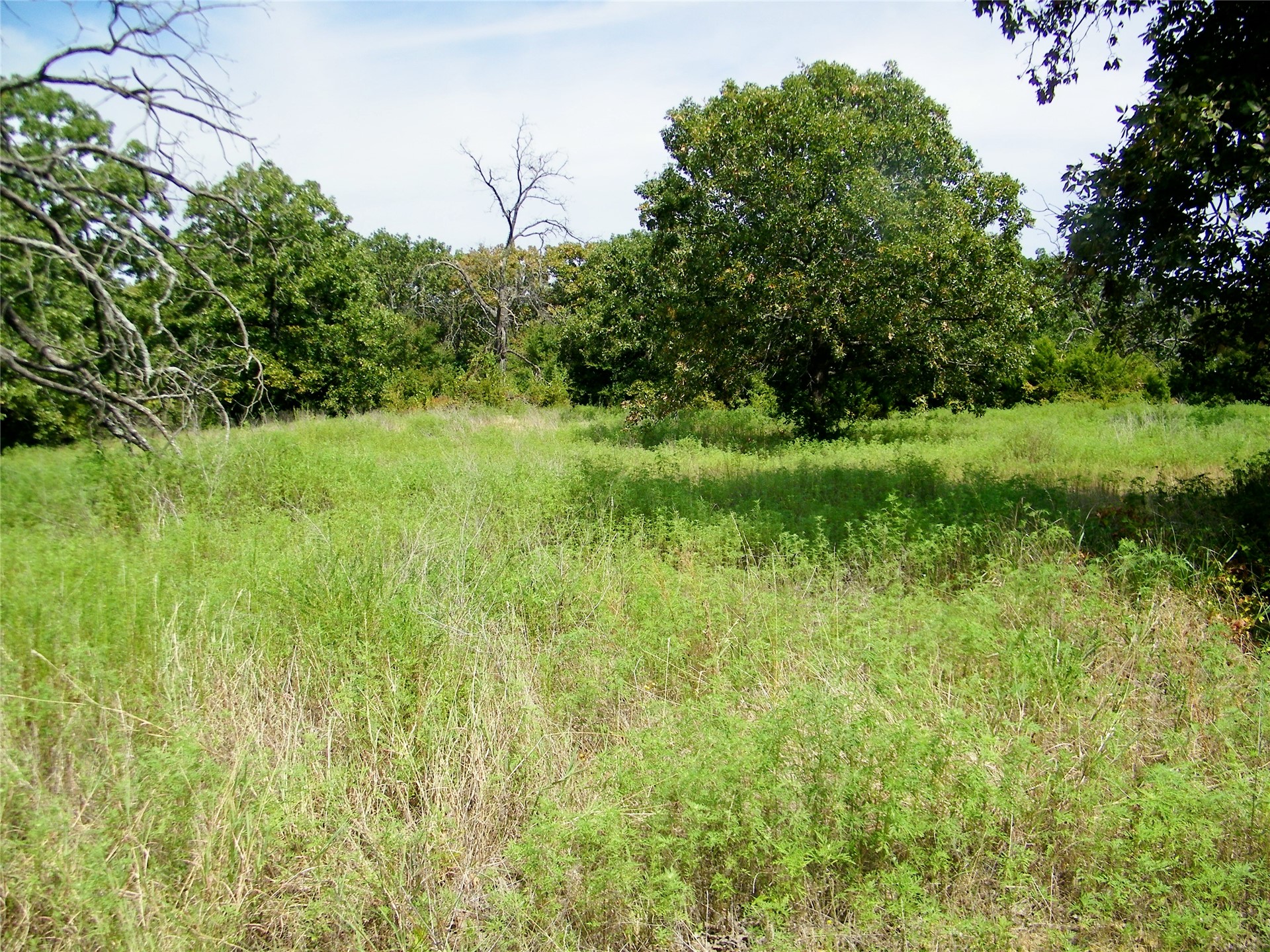 S 230th Road Property Photo 57