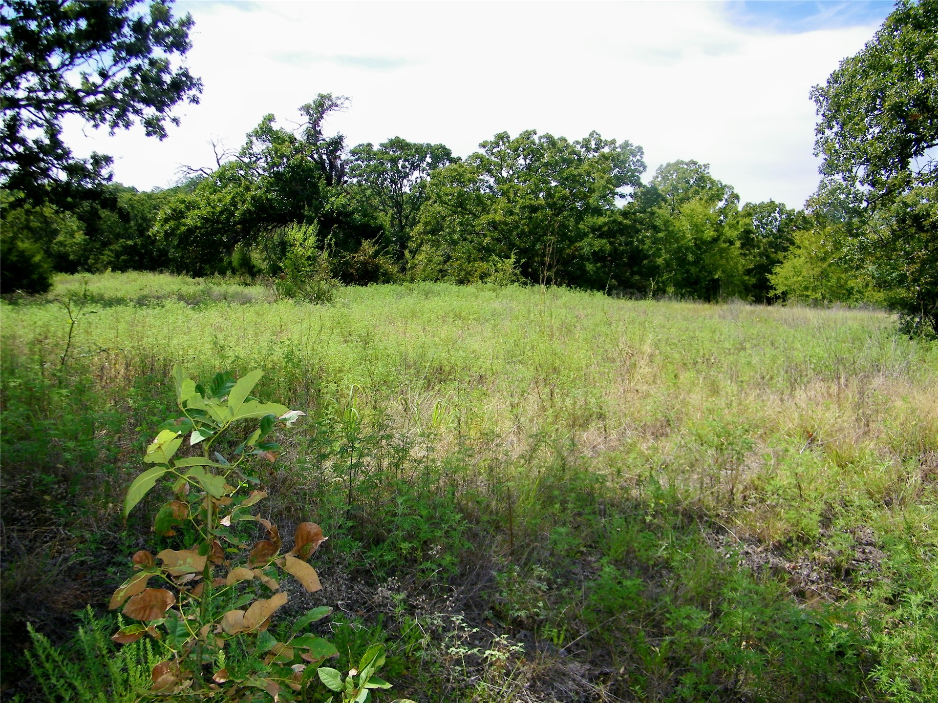 S 230th Road Property Photo 58