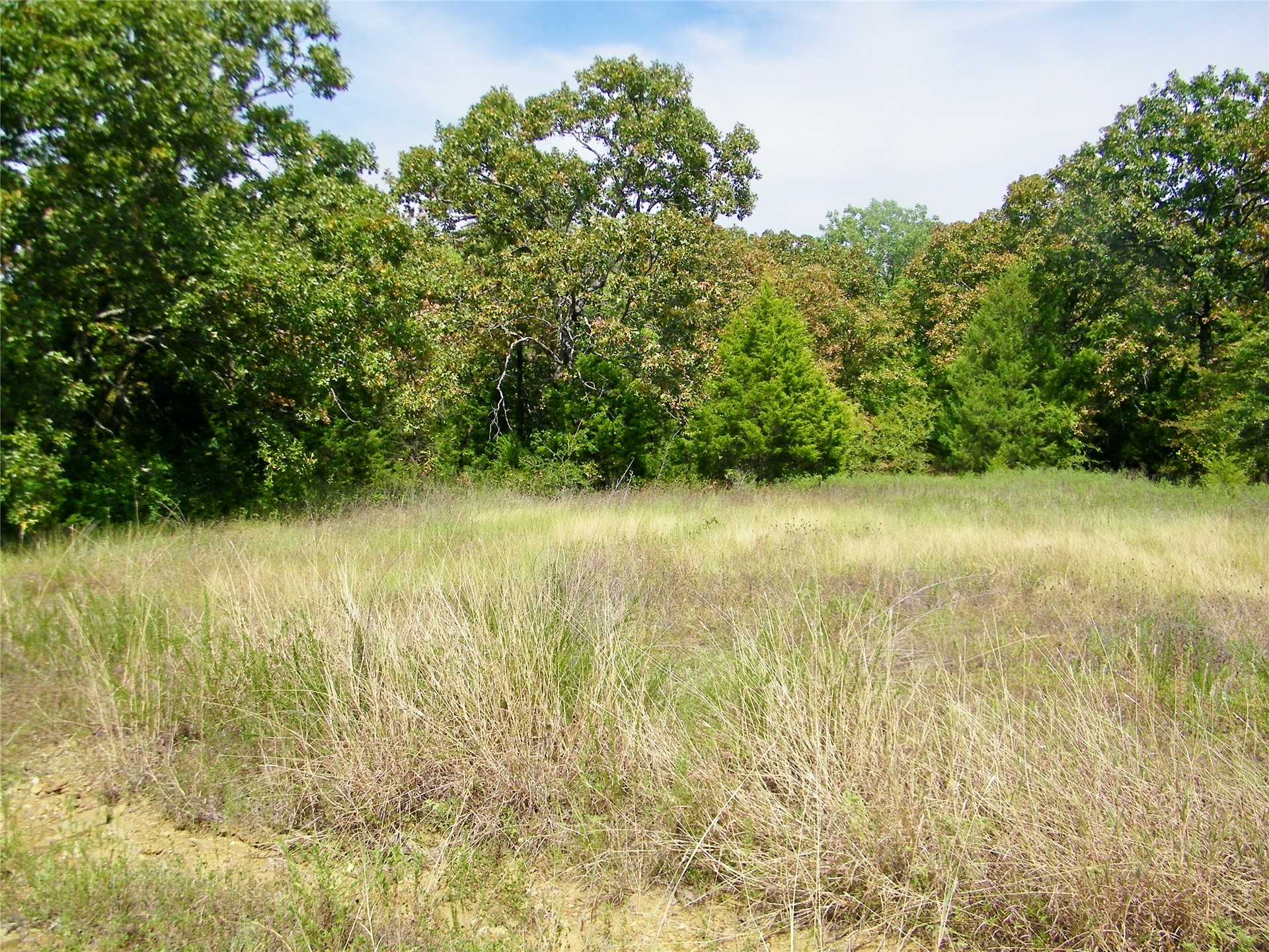 S 230th Road Property Photo 60