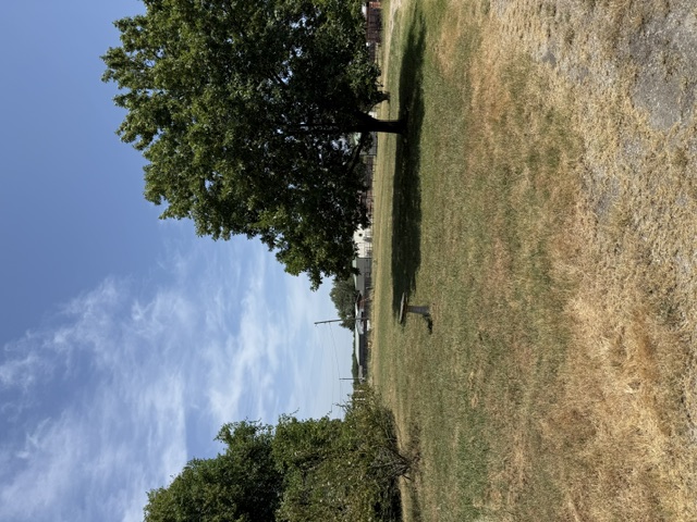 2631489 Property Photo 5