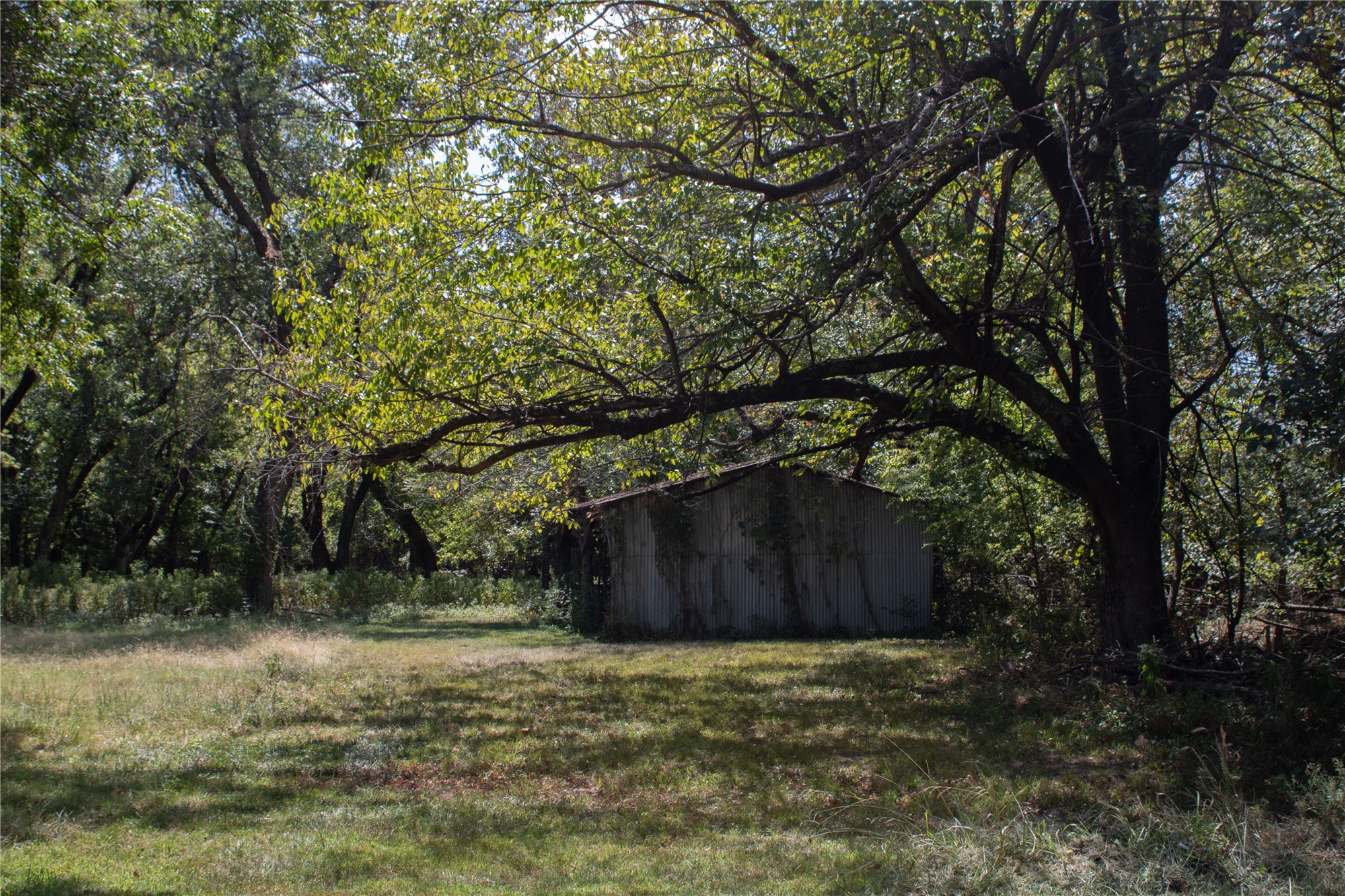 2631489 Property Photo 10