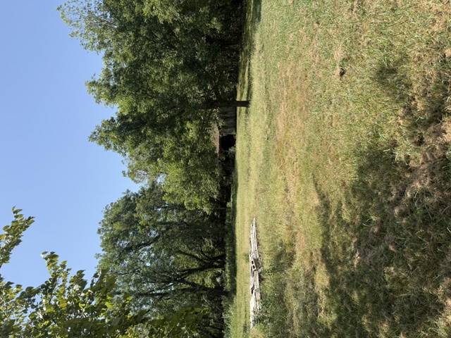2631489 Property Photo 15