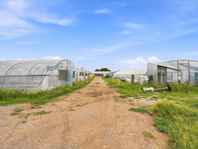10624 State Highway 11 Property Photo 18